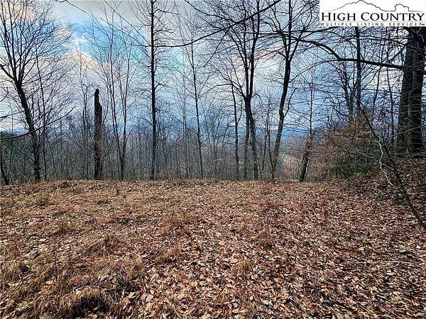 1.27 Acres of Residential Land for Sale in Vilas, North Carolina