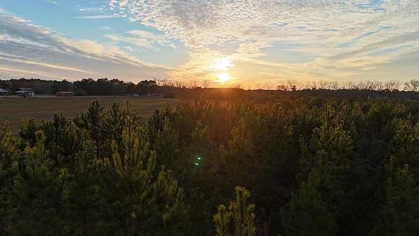 5 Acres of Residential Land for Sale in Headland, Alabama