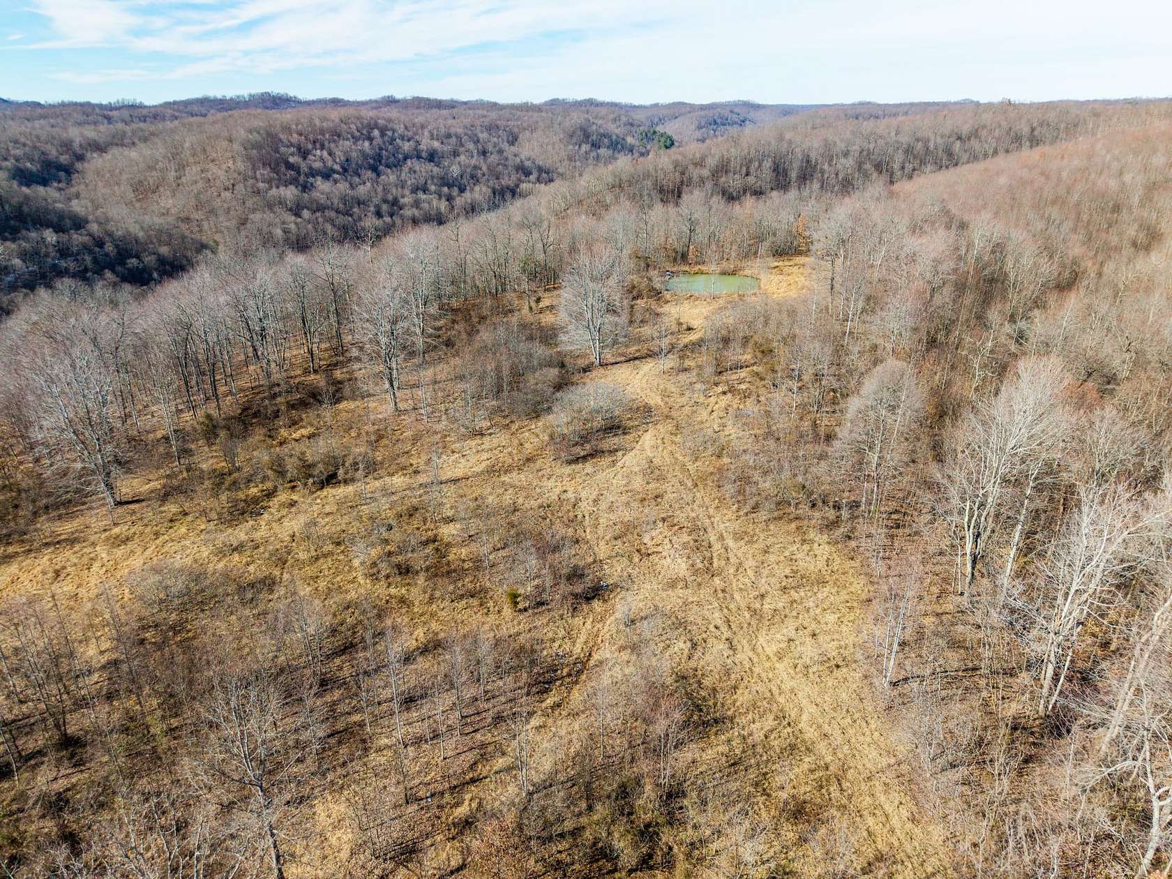 62 Acres of Recreational Land for Sale in Vanceburg, Kentucky