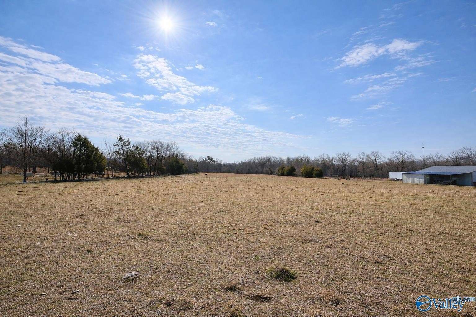10 Acres of Land with Home for Sale in Danville, Alabama