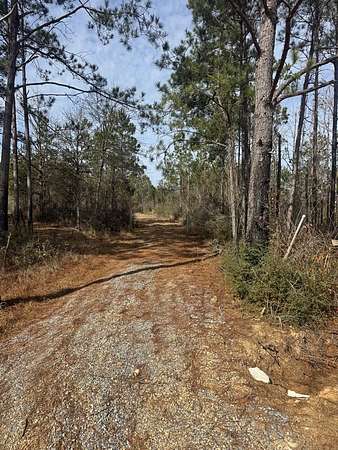 40 Acres of Recreational Land for Sale in Poplarville, Mississippi