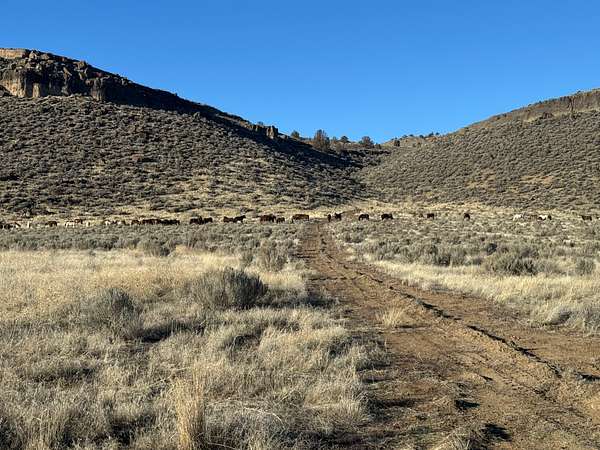 279 Acres of Land for Sale in Burns, Oregon