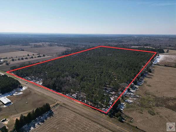 47.9 Acres of Land for Sale in Hughes Springs, Texas