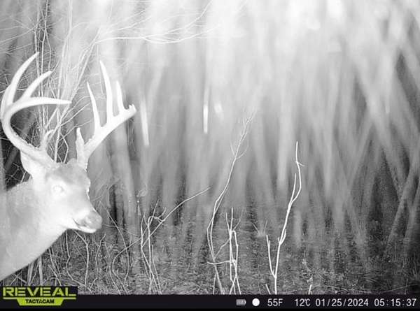 121 Acres of Recreational Land for Sale in Bordelonville, Louisiana