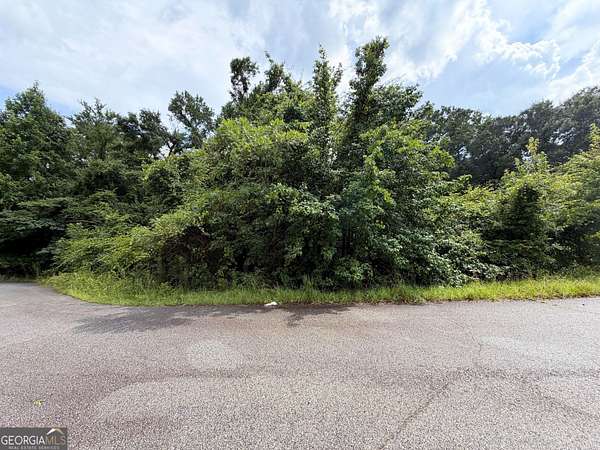 1.13 Acres of Residential Land for Sale in Macon, Georgia