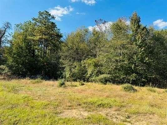 4 Acres of Residential Land for Sale in Hillister, Texas