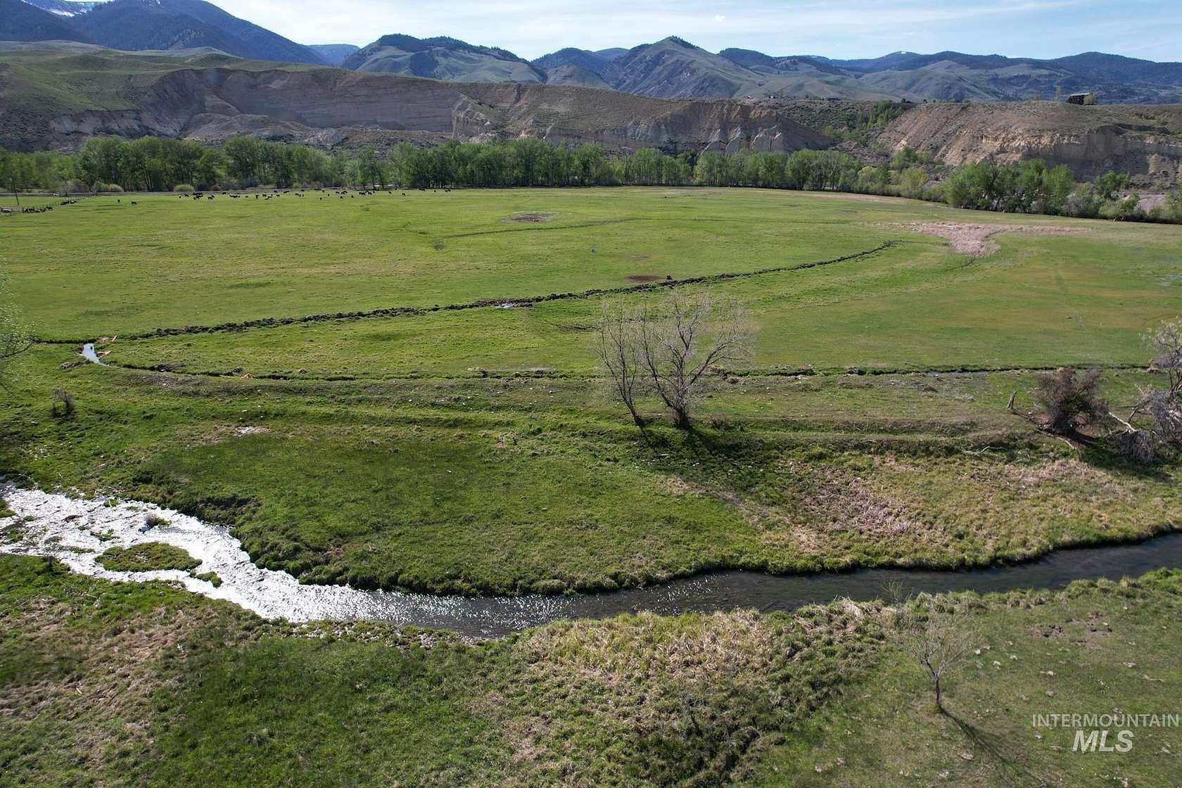 60 Acres of Land for Sale in Salmon, Idaho