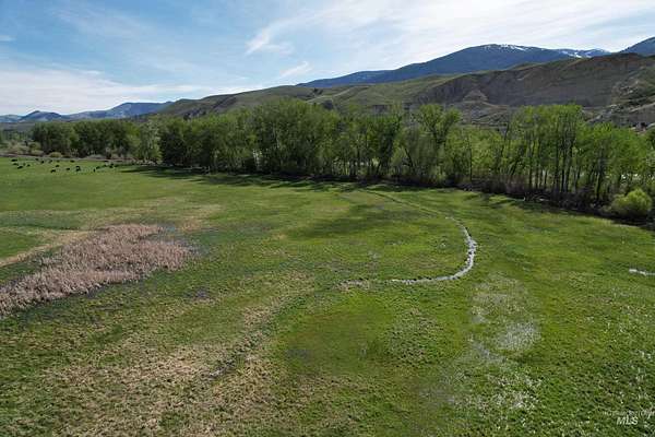 60 Acres of Land for Sale in Salmon, Idaho