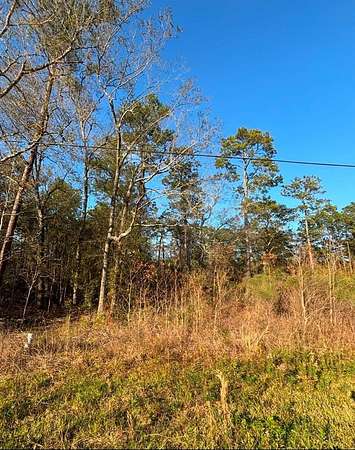 0.75 Acres of Residential Land for Sale in Vidor, Texas