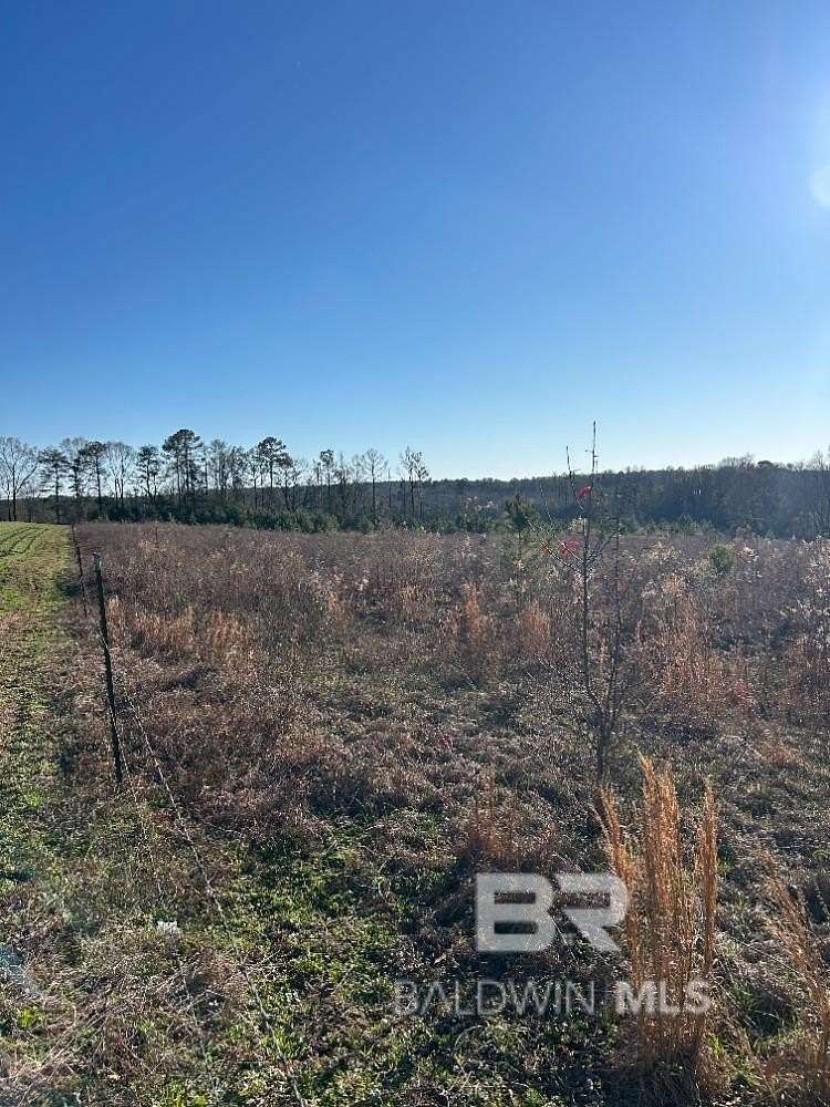 14 Acres of Land for Sale in Evergreen, Alabama