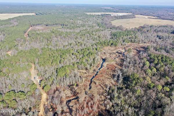 235 Acres of Recreational Land & Farm for Sale in Roseboro, North Carolina