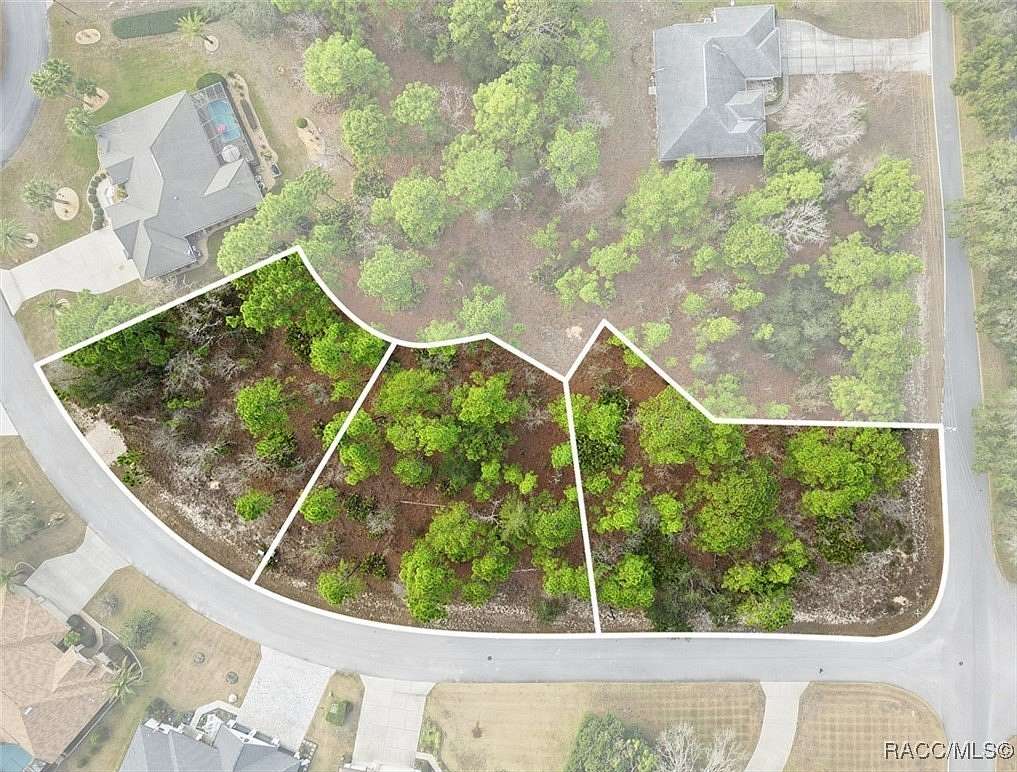 1 Acre of Residential Land for Sale in Homosassa, Florida