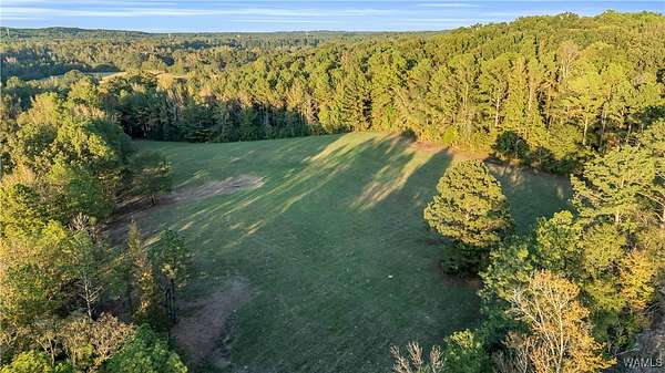 16 Acres of Land for Sale in Millport, Alabama