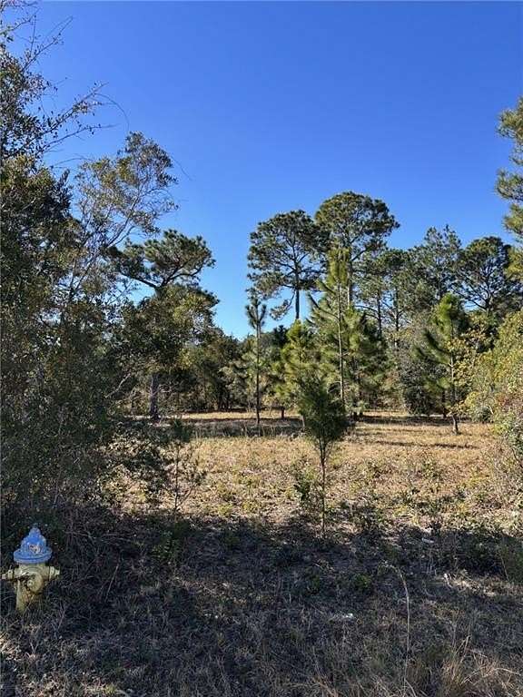 0.5 Acres of Residential Land for Sale in St. Marys, Georgia