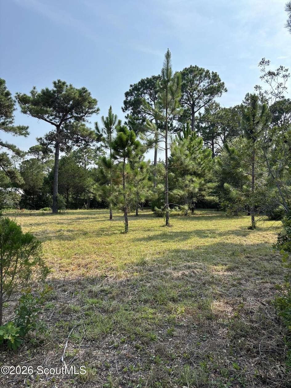 0.5 Acres of Residential Land for Sale in St. Marys, Georgia