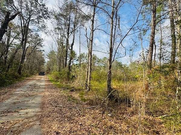 40 Acres of Recreational Land for Sale in Columbia, Mississippi