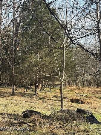 0.77 Acres of Residential Land for Sale in Pittsboro, North Carolina