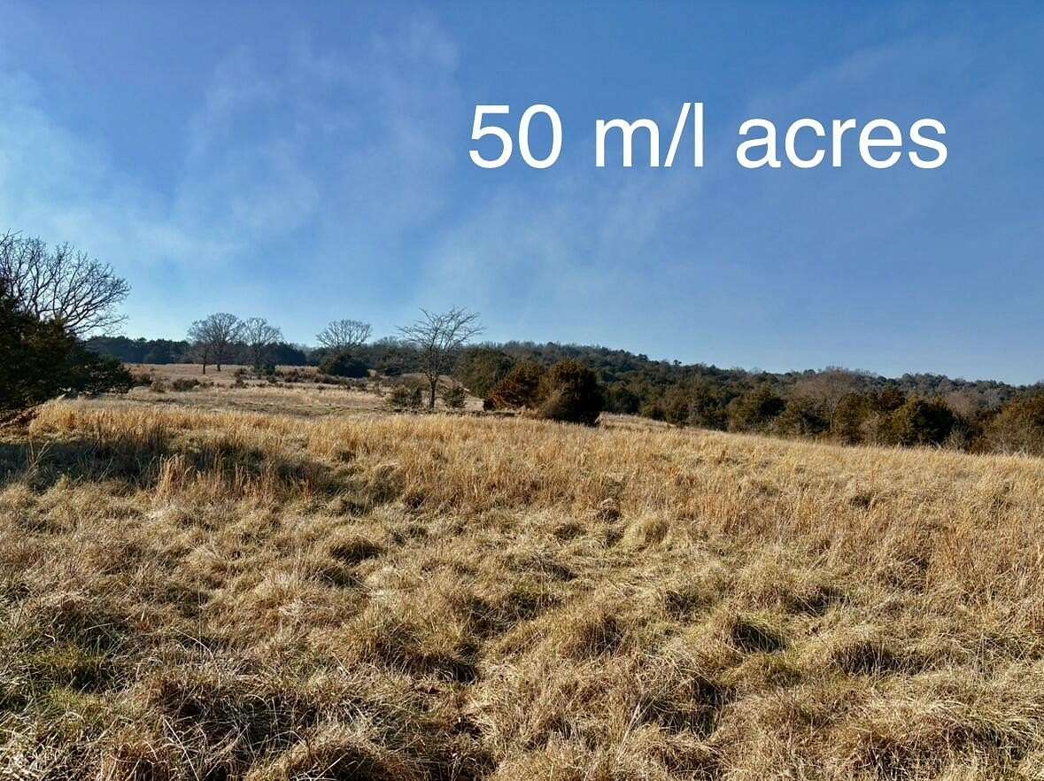 50 Acres of Recreational Land for Sale in Theodosia, Missouri