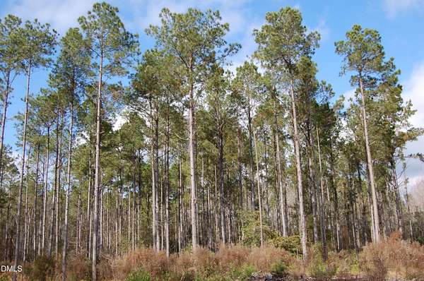 319 Acres of Recreational Land for Sale in Rocky Point, North Carolina