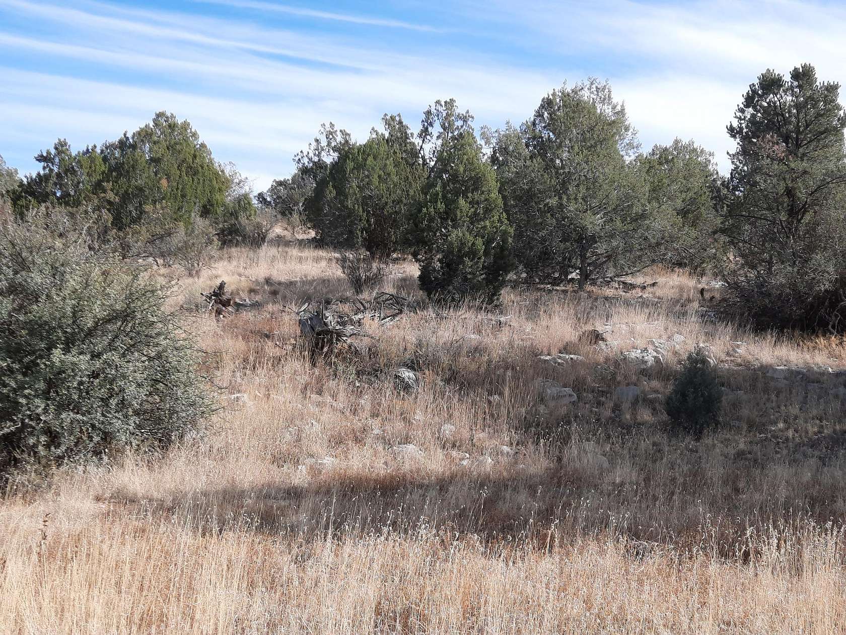 2 Acres of Land for Sale in Seligman, Arizona