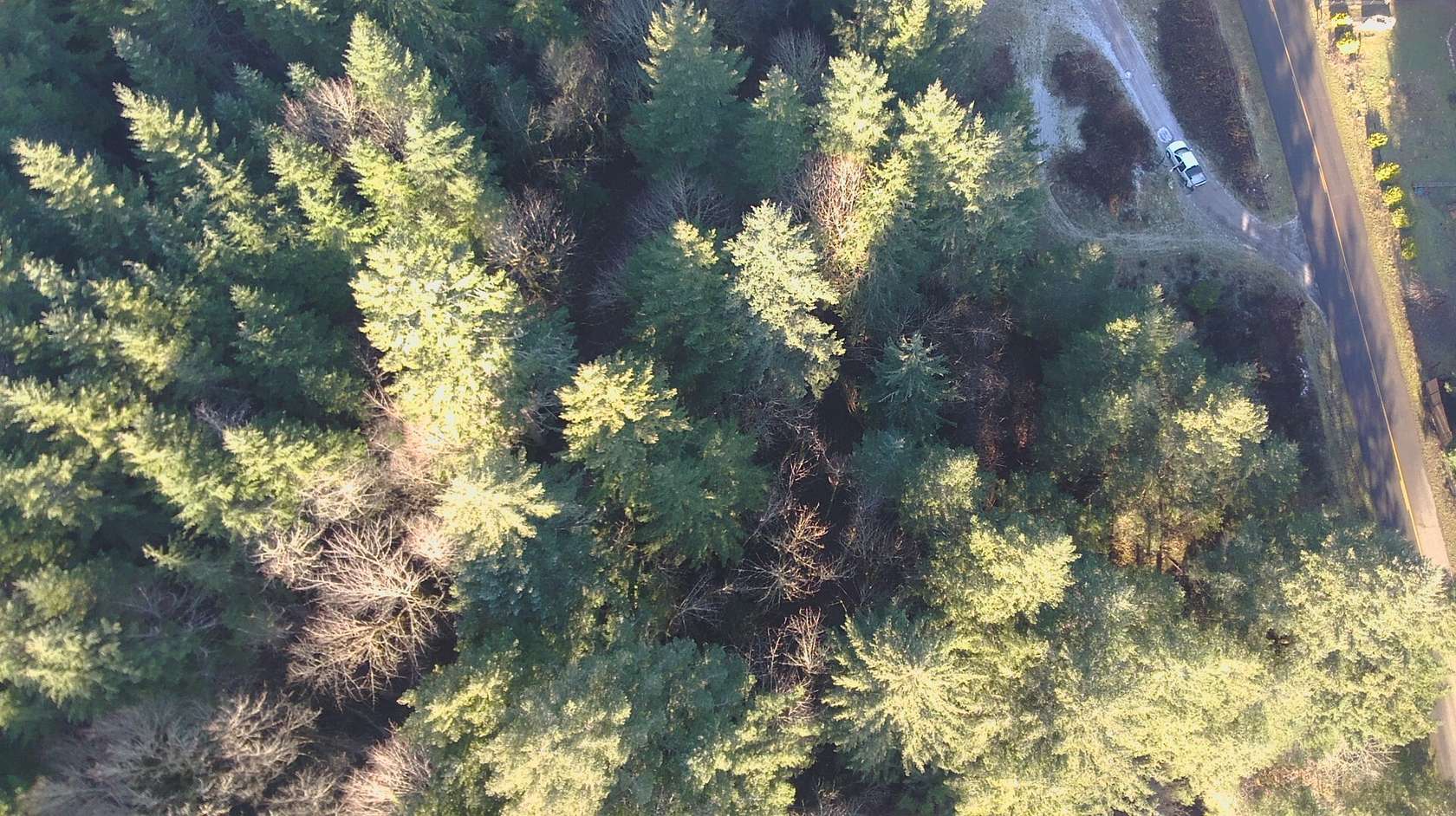 0.6 Acres of Residential Land for Sale in Culp Creek, Oregon