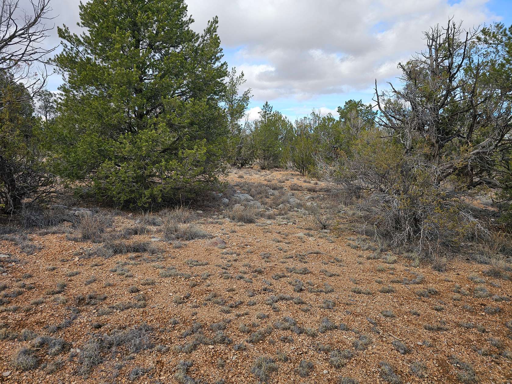 2 Acres of Land for Sale in Seligman, Arizona