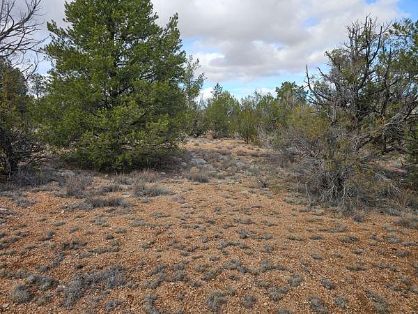 2 Acres of Land for Sale in Seligman, Arizona