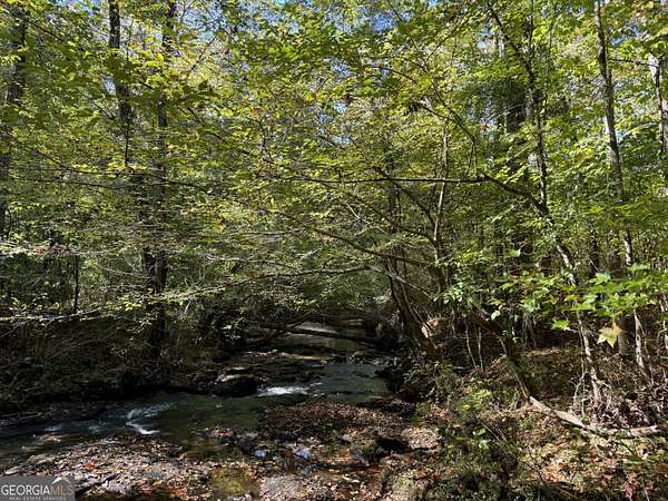 282 Acres of Recreational Land for Sale in Griffin, Georgia