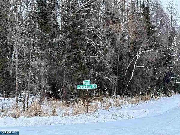 39.9 Acres of Recreational Land for Sale in Angora, Minnesota