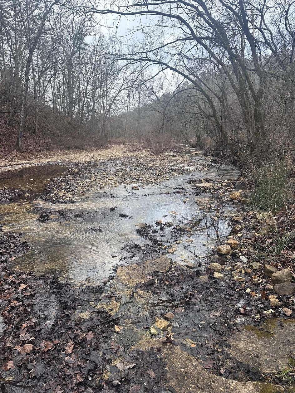 57 Acres of Land for Sale in Drury, Missouri