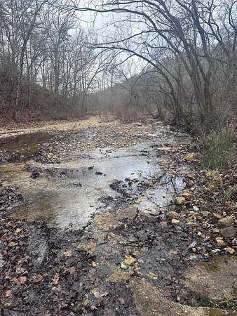 57 Acres of Land for Sale in Drury, Missouri