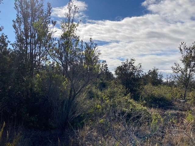 1 Acre of Land for Sale in Hawaiian Ocean View, Hawaii