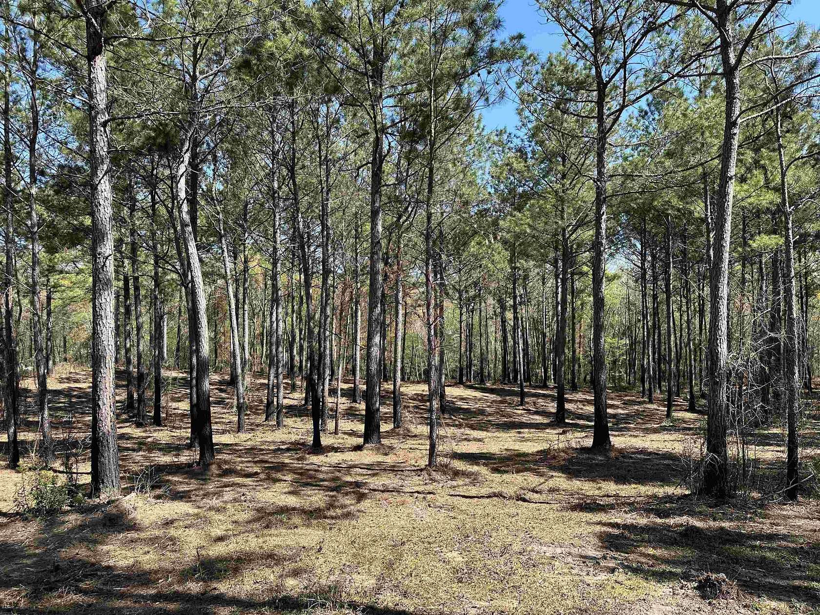 1.2 Acres of Land for Sale in Salters, South Carolina