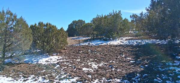 1.16 Acres of Residential Land for Sale in Concho, Arizona