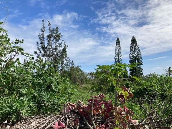 0.32 Acres of Residential Land for Sale in Nāʻālehu, Hawaii