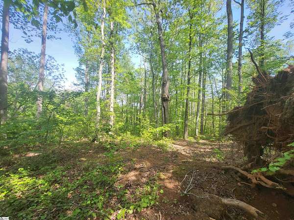 0.39 Acres of Residential Land for Sale in Travelers Rest, South Carolina