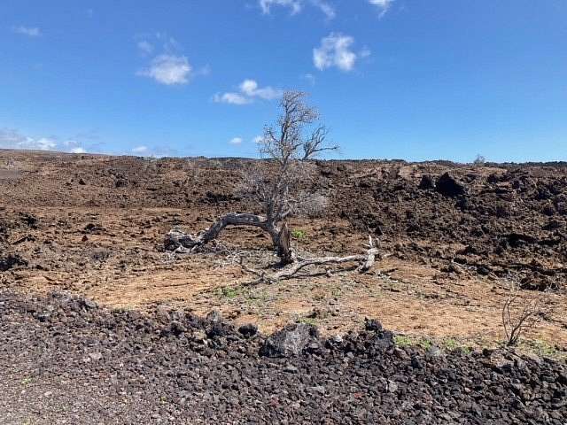 3 Acres of Land for Sale in Hawaiian Ocean View, Hawaii