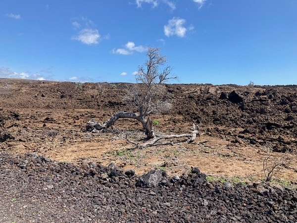 3 Acres of Land for Sale in Hawaiian Ocean View, Hawaii