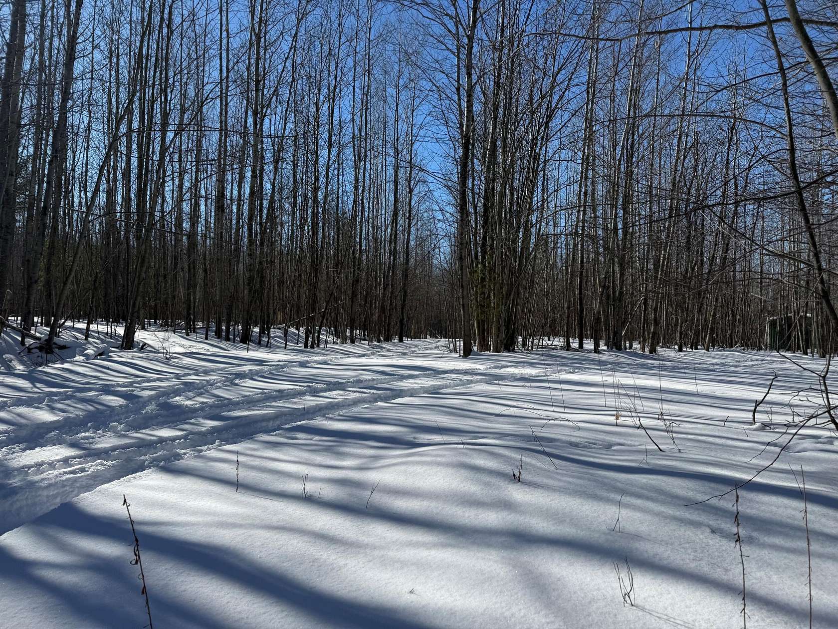 20 Acres of Recreational Land for Sale in Black River, Michigan