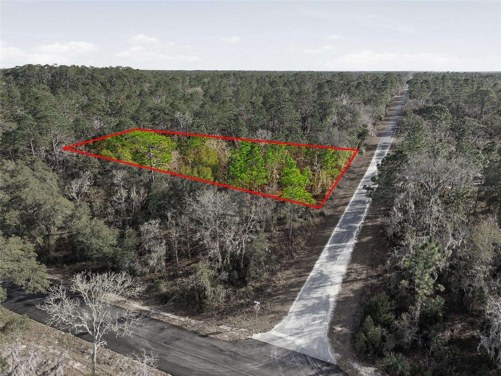 1 Acre of Residential Land for Sale in Dunnellon, Florida