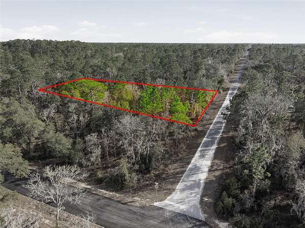 1 Acre of Residential Land for Sale in Dunnellon, Florida