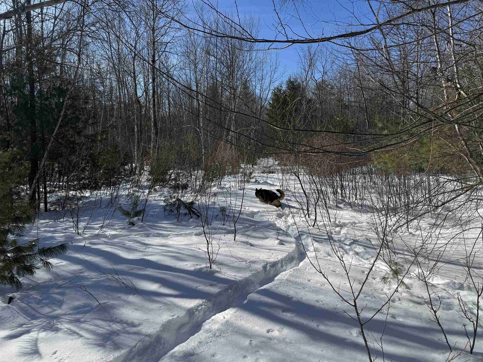 22 Acres of Land for Sale in Wakefield, New Hampshire