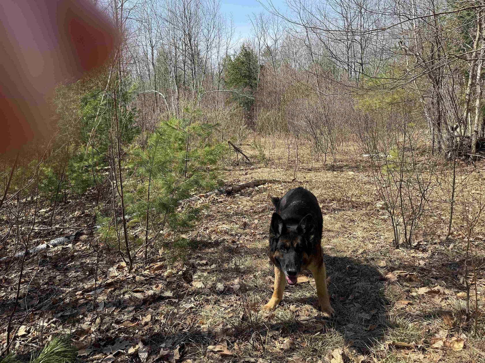 22 Acres of Land for Sale in Wakefield, New Hampshire