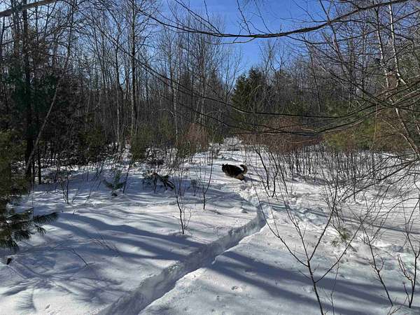 22 Acres of Land for Sale in Wakefield, New Hampshire