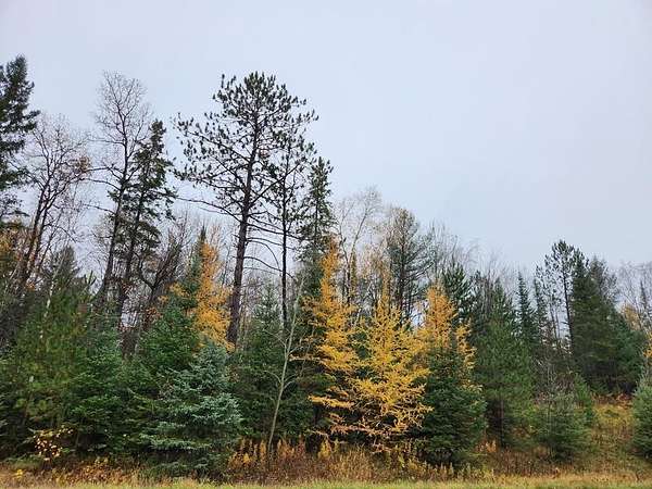 0.36 Acres of Land for Sale in Ogema, Wisconsin