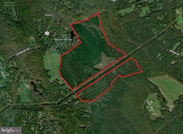 323 Acres of Recreational Land for Sale in Indian Head, Maryland