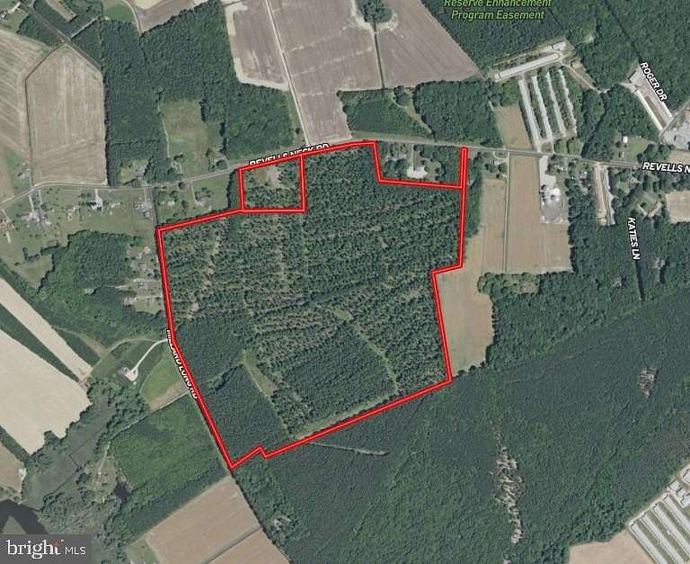 105 Acres of Recreational Land for Sale in Westover, Maryland