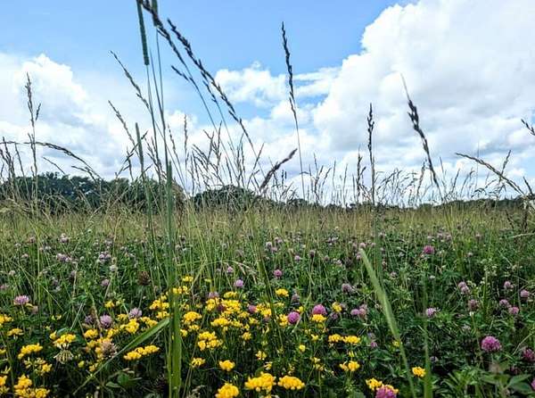 5 Acres of Residential Land for Sale in Woodward, Iowa