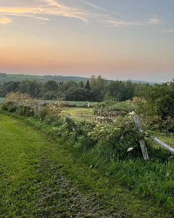 164 Acres of Land for Sale in Chapman, Maine