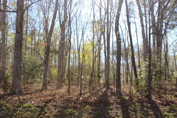 0.22 Acres of Residential Land for Sale in Greenbackville, Virginia